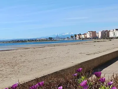 a beach with purple flowers in the sand and buildings at Appartement avec magnifique vue sur mer in Gruissan