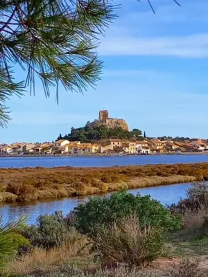 a small island in the middle of a body of water at VILLA DU PIN in Gruissan