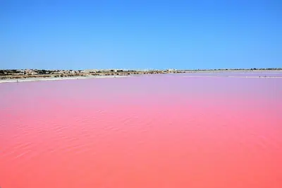 a pink body of water with a beach in the background at VILLA DU PIN in Gruissan