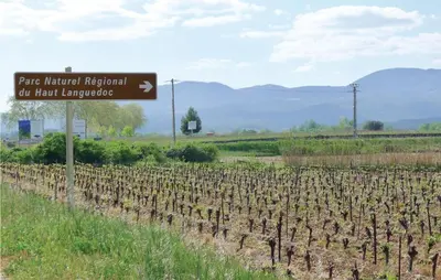 a sign next to a field of vines at Holiday Home Cessenon Sur Orb Mn-1265 in Cessenon