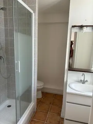 a bathroom with a shower and a sink at Maison Tulipe in Puivert