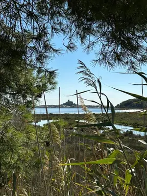 a view of the beach through the trees at Appartement spacieux de plein pied avec 2 chambres, cuisine, salon, terrasse à 2 minutes de la plage in Gruissan