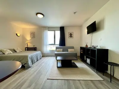 a bedroom with a bed and a couch and a television at Zen studio ※ parking - piscine in Carcassonne