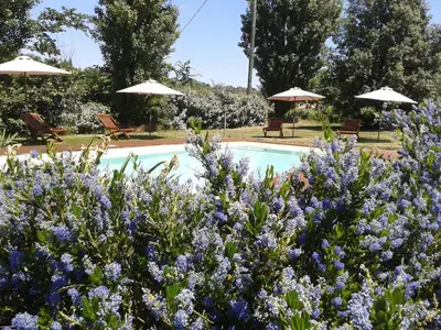 a garden with purple flowers in front of a pool at B&B La Ferme de Loubens in Loubens-Lauragais