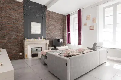 a living room with a couch and a fireplace at Centre Ville -Cosy 2 pièces-Clim-AF in Carcassonne