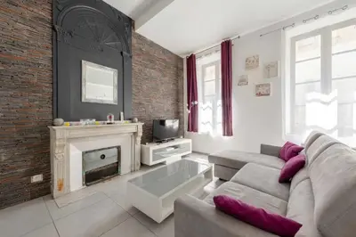 a living room with a couch and a fireplace at Centre Ville -Cosy 2 pièces-Clim-AF in Carcassonne