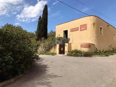 an old building with a tree in front of it at BelCiano (ancien Toit Vert) in Fitou