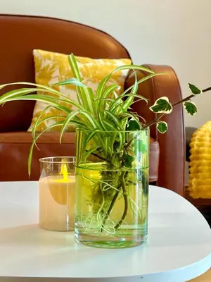 a glass vase with a plant on a table at Le Victor Hugo de la Robine in Narbonne