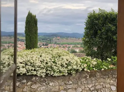 a stone wall with white flowers on top of it at Maison de charme avec vue sur la cité médiévale. in Carcassonne