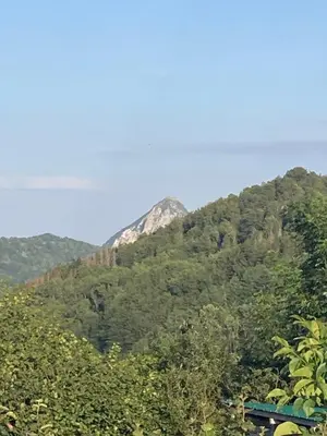 a mountain in the middle of a forest at Gîte col de la lauze avec vue sur le château de Montségur in Montferrier