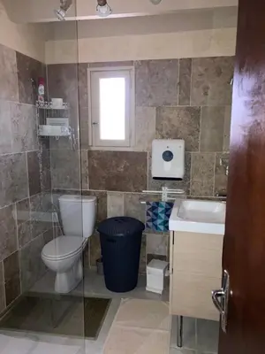 a bathroom with a toilet and a sink at Gîte col de la lauze avec vue sur le château de Montségur in Montferrier