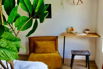 a room with a chair and a table with a plant at Maison Merci - Maison d'hôtes in Carcassonne