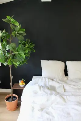 a bedroom with a white bed and a potted plant at Maison Merci - Maison d'hôtes in Carcassonne