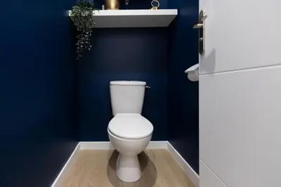 a white toilet in a bathroom with blue walls at Lueur des Années Dorées in Carcassonne