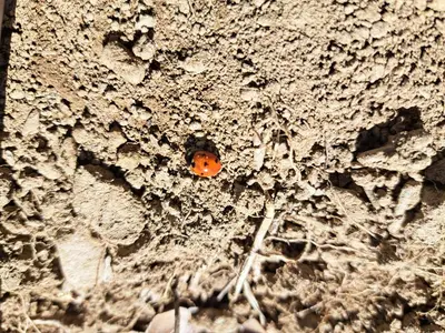 a red spot on the side of a wall at Moulin de l’Arcas in Prémian