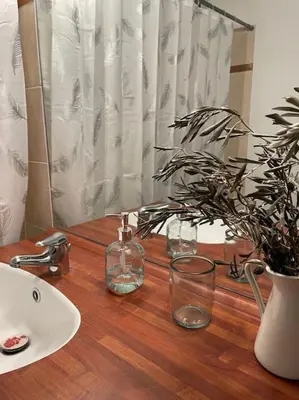 a bathroom counter with a sink and a potted plant at Confortable and Cozy in Vinassan