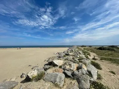 a group of rocks on a sandy beach at Confortable and Cozy in Vinassan