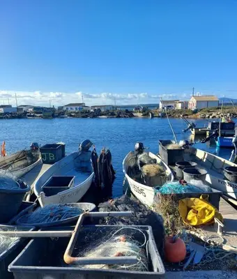 a group of boats are docked in the water at L'Escapade Gruissanaise, appartement 1 chambre, loggia, climatisation, wifi avec piscines de mi-mai à mi-septembre dans résidence in Gruissan