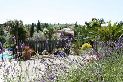 a garden with purple flowers and a fence at Maison de Laura in Salsigne
