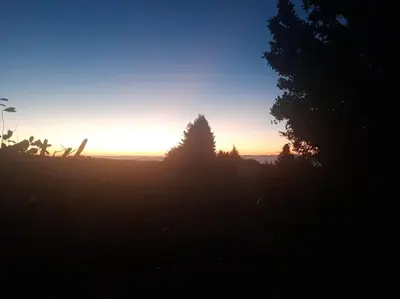 a sunset in a field with a tree in the background at Gîte avec piscine - 4 personnes - Pays Cathare in Cuxac-Cabardès