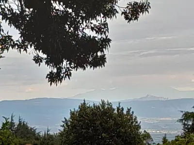a view of the mountains from behind a tree at Gîte avec piscine - 4 personnes - Pays Cathare in Cuxac-Cabardès