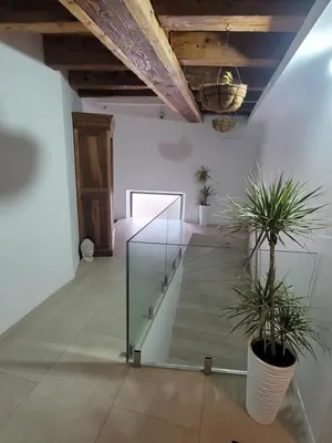 a hallway with a glass staircase with potted plants at BEAU T3 AU COEUR DU CENTRE VILLE (205) in Narbonne