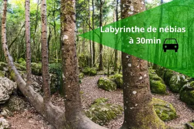 a green sign in the middle of a forest at El Dino in country cathare*PRO*Oc Keys011 in Espéraza