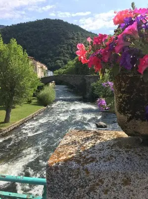 a river with a bridge and flowers on the side at Townhouse in Southern France with a wonderful view and close to a Swimming pool in Axat