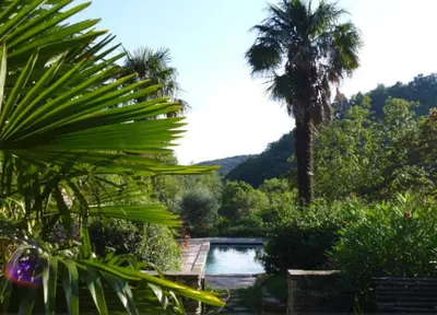 a palm tree and a swimming pool in a garden at LE JARDIN DEL SUD in Saint-Vincent