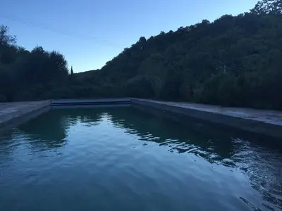 a large pool of water with trees in the background at LE JARDIN DEL SUD in Saint-Vincent