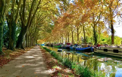 a tree lined canal with boats parked next to a sidewalk at 2 Bedroom Stunning Home In Saint-Laurent-De-La-Ca in Saint-Laurent-de-la-Cabrerisse