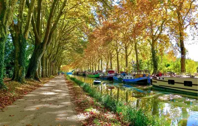 a row of boats docked on a canal with trees at Cozy Home In Saint-Laurent-De-La-Ca With Wifi in Saint-Laurent-de-la-Cabrerisse