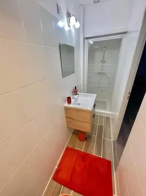 a bathroom with a white sink and a red rug at * Maison chez J&J - Cité médiévale * in Carcassonne