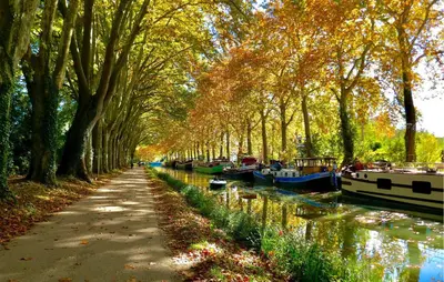 a tree lined canal with boats on the water at Nice Home In Saint-Laurent-De-La-Ca in Saint-Laurent-de-la-Cabrerisse