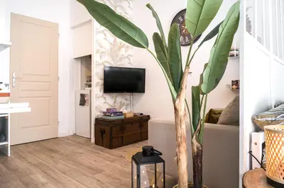 a living room with a tv and a plant at Le Boho Chic Studio Cosy in Narbonne