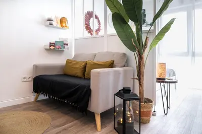 a living room with a couch and a plant at Le Boho Chic Studio Cosy in Narbonne