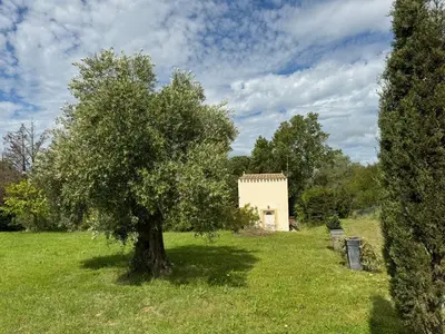 a tree in the middle of a field with a building at Gîte Les Amandiers in Villedubert