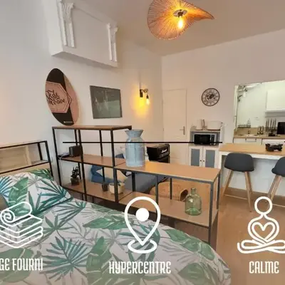 L’Albizia- Centre -TV WIFI-Cozy
