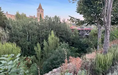 a garden with a clock tower in the background at 2 Bedroom Lovely Home In Saint-Laurent-De-La-Ca in Saint-Laurent-de-la-Cabrerisse