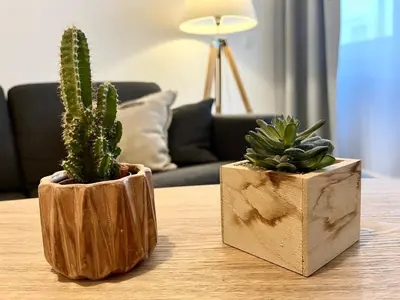 two cactuses in wooden vases sitting on a table at Studio centre historique RDC - WIFI in Revel