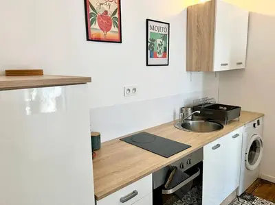 a kitchen with a sink and a washing machine at Appartement Victor Hugo - balcon in Revel