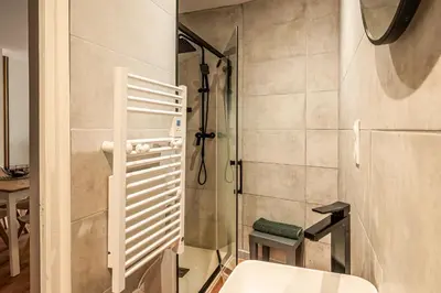 a bathroom with a shower and a toilet at Chaleureux appartement, centre ville in Narbonne