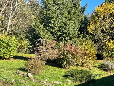 a garden with many bushes and trees and grass at Borie Grande in Saint-Denis