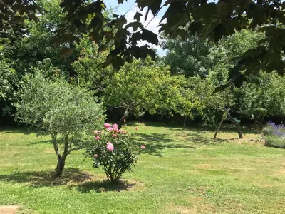 a garden with a tree and pink roses at Borie Grande in Saint-Denis