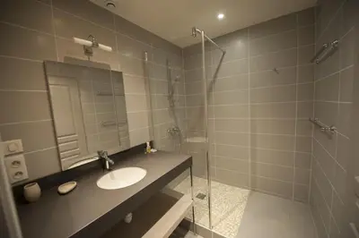 a bathroom with a sink and a shower at Château Ciceron in Ribaute