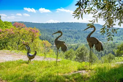 three birds standing on top of a hill at Château Ciceron in Ribaute