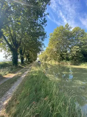 a dirt road next to a river with trees at Fleur De Sel in Gruissan