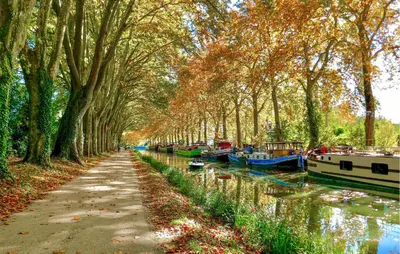 a row of boats parked on a canal with trees at Gorgeous Home In Saint-Laurent-De-La-Ca With Wifi in Saint-Laurent-de-la-Cabrerisse