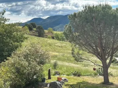 a grassy hill with a tree in a field at Au chant des cigales in Mons