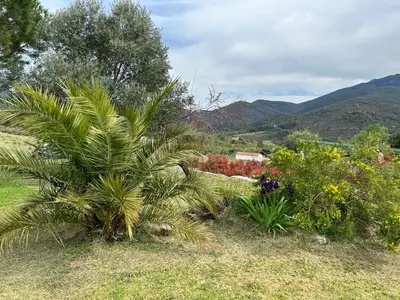 a palm tree in a garden with mountains in the background at Au chant des cigales in Mons
